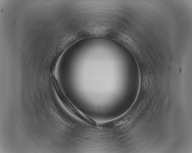 X0000086880259200704231110