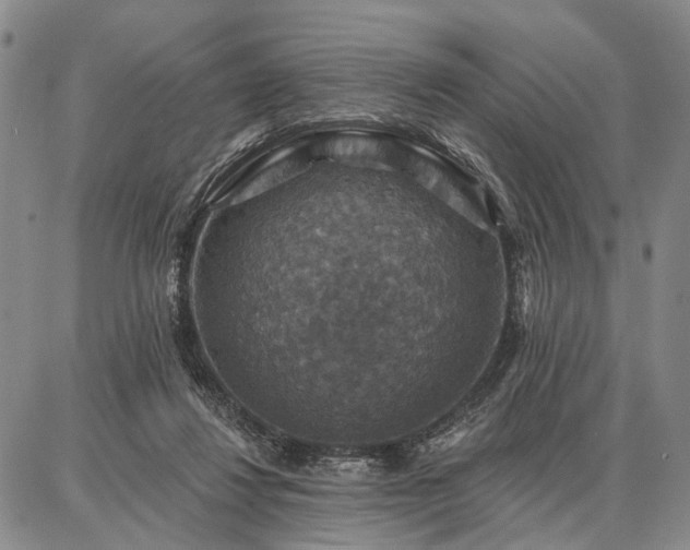 X0000086880260200704231110