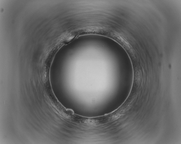 X0000086880261200704231110