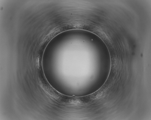 X0000086880262200704231110