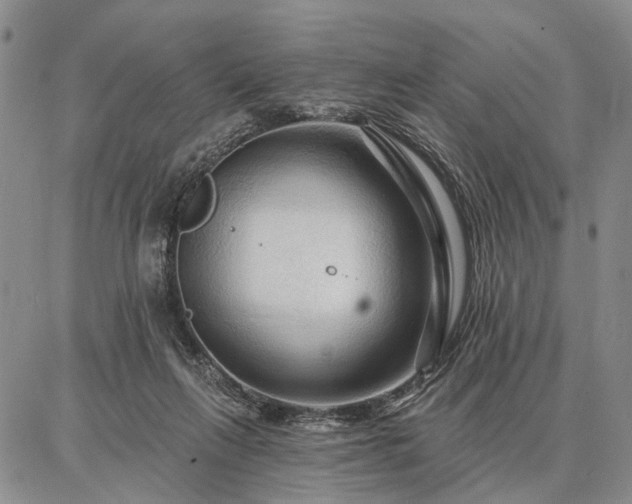 X0000086880263200704231110