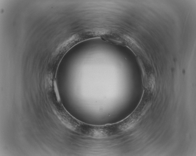 X0000086880264200704231110