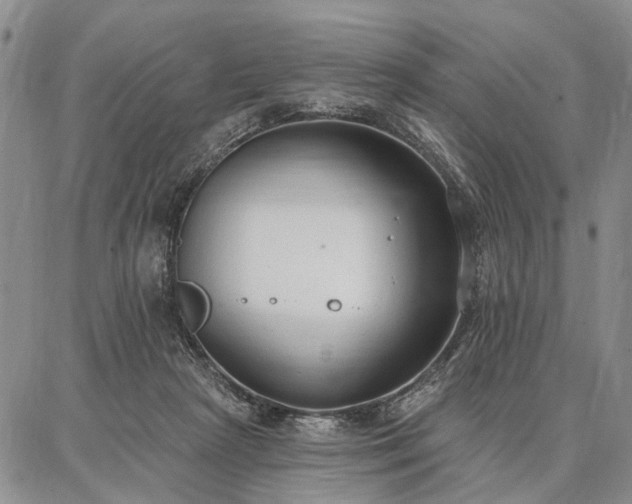 X0000086880265200704231110