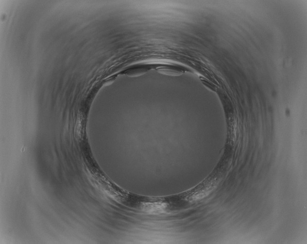 X0000086880266200704231110