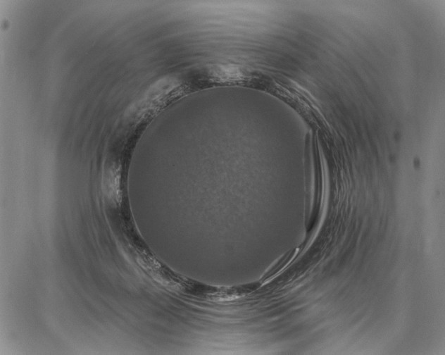 X0000086880267200704231110