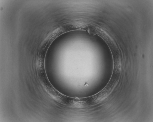 X0000086880268200704231110