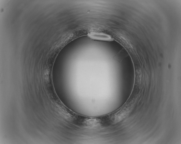 X0000086880269200704231110