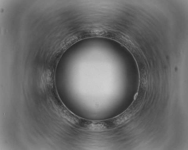 X0000086880270200704231110