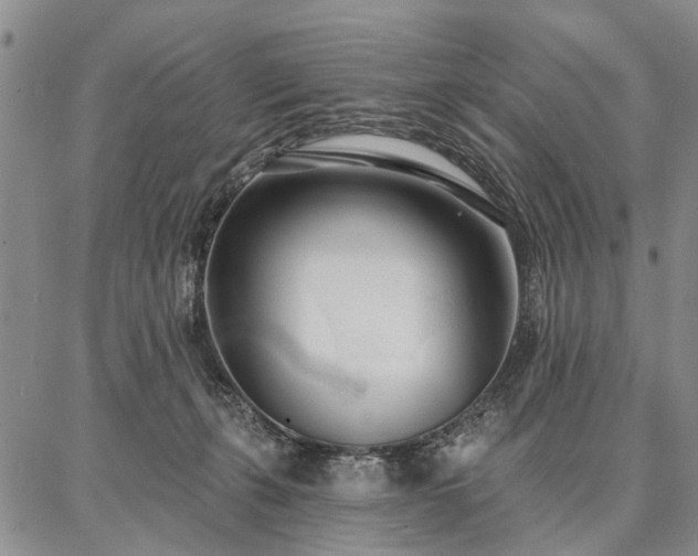 X0000086880271200704231110