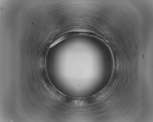 X0000086880272200704231110