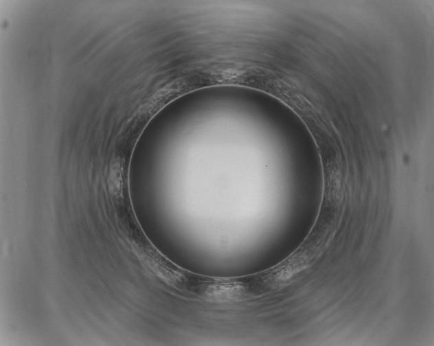 X0000086880274200704231110