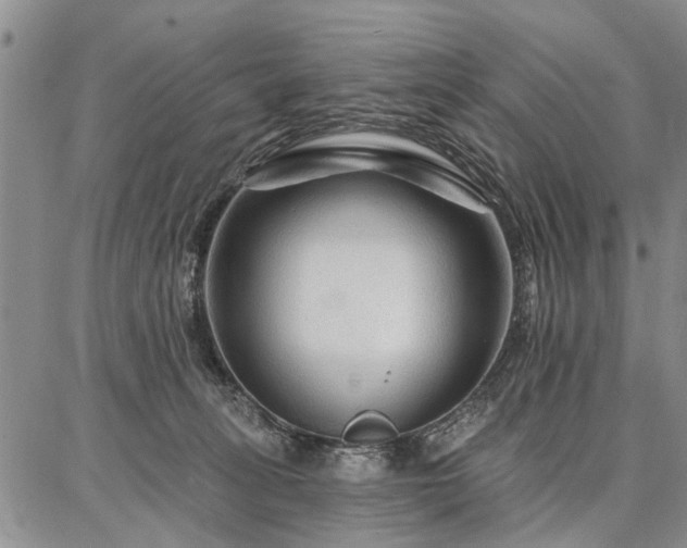 X0000086880275200704231110