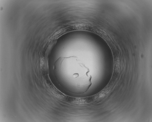 X0000086880278200704231110