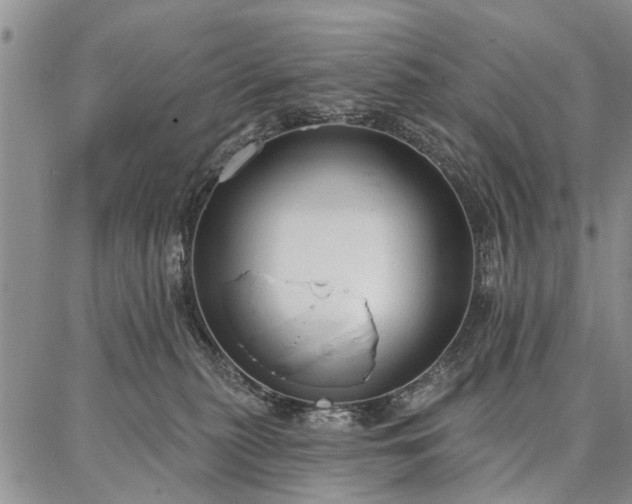 X0000086880279200704231110