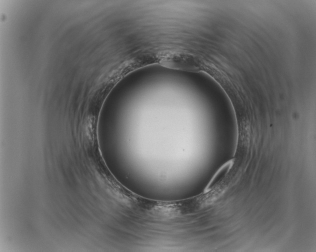 X0000086880280200704231110