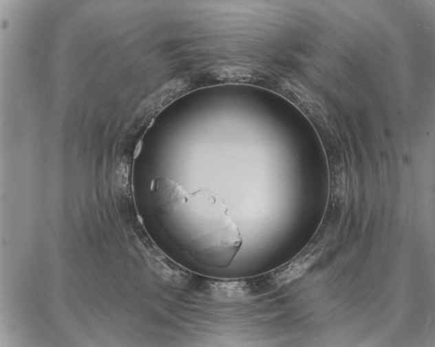 X0000086880281200704231110