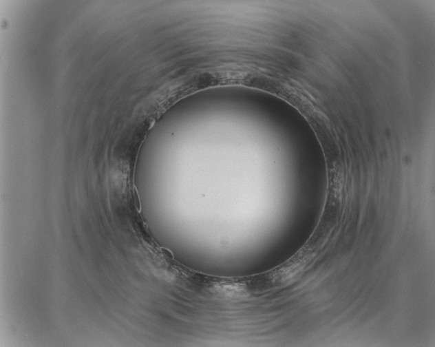 X0000086880283200704231110