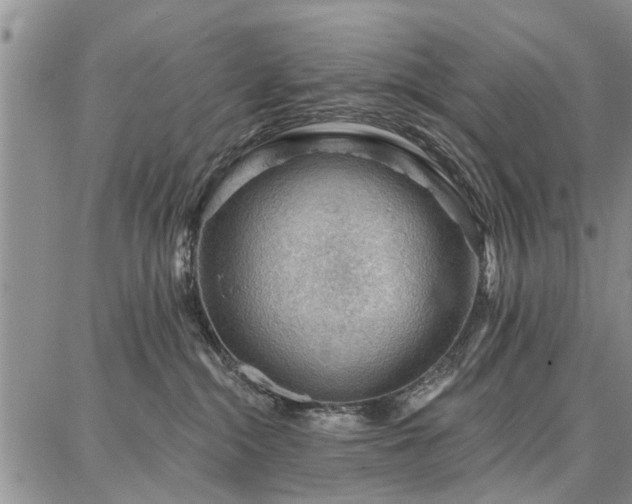 X0000086880284200704231110