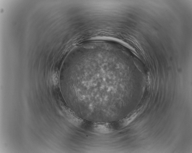 X0000086880285200704231110