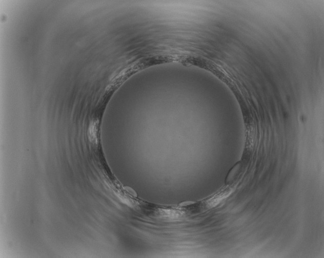 X0000086880286200704231111