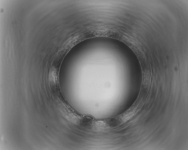 X0000086880287200704231111