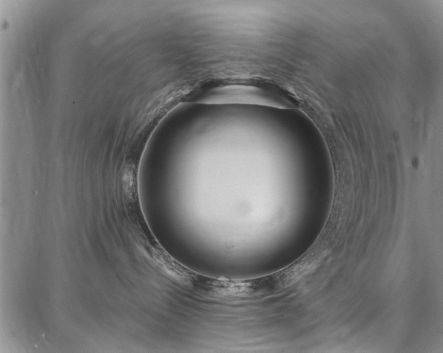 X0000086880288200704231111