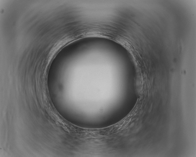 X0000086880289200704231110