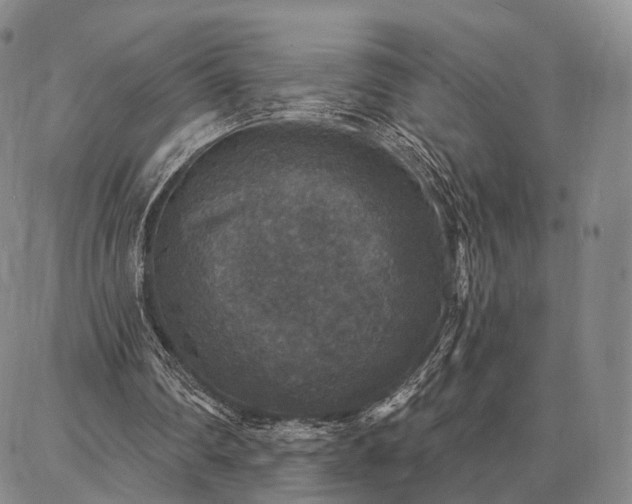 X0000086880290200704231110