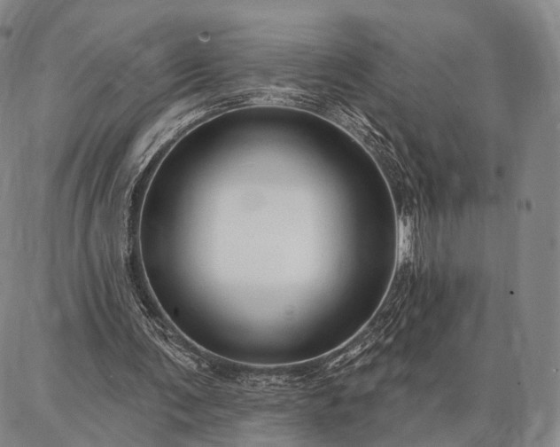 X0000086880291200704231110