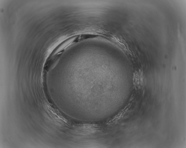 X0000086880292200704231110