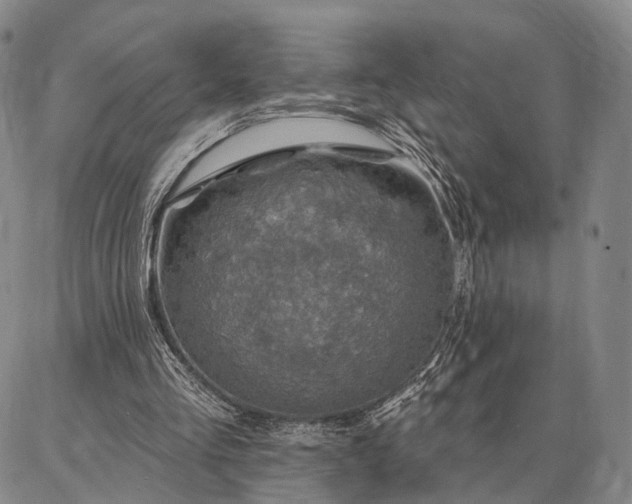 X0000086880293200704231110