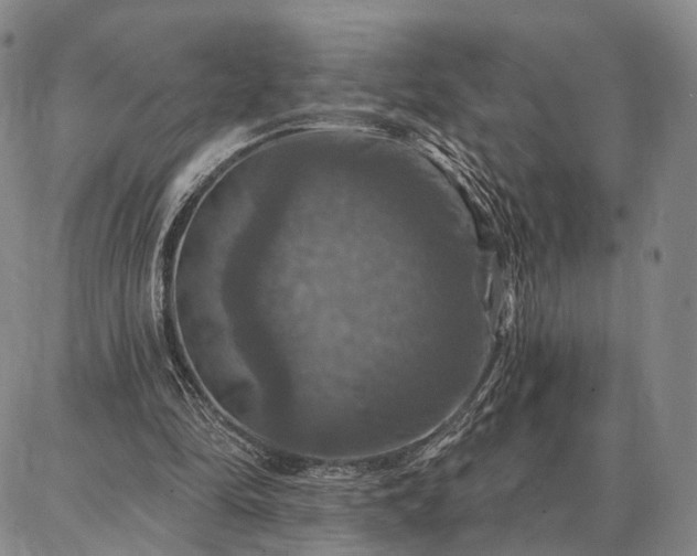 X0000086880294200704231110