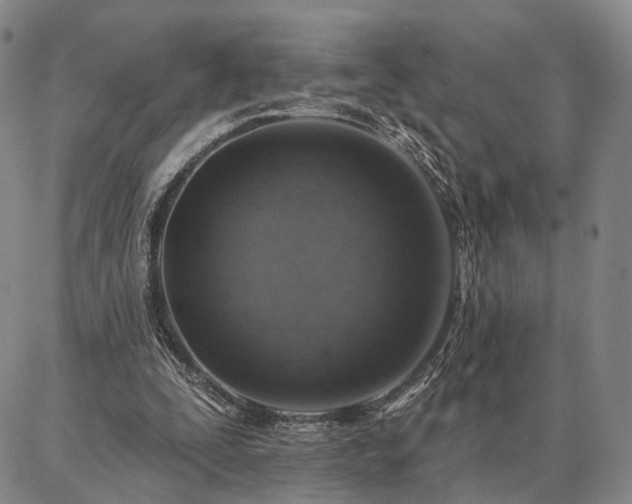 X0000086880295200704231110