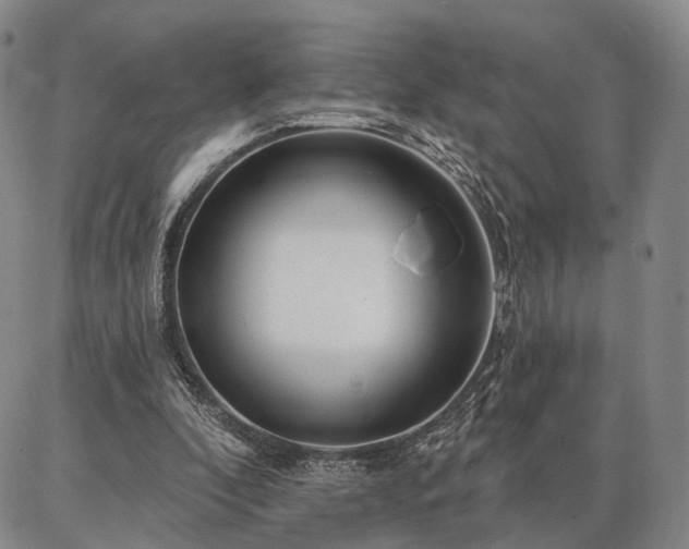 X0000086880296200704231110