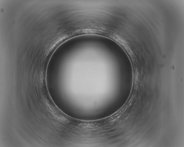 X0000086880297200704231110