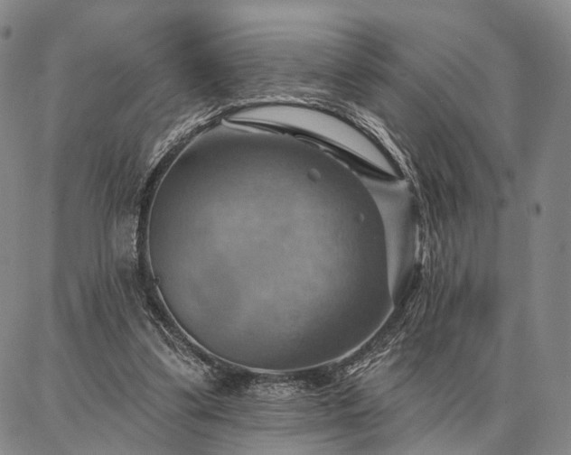 X0000086880299200704231110