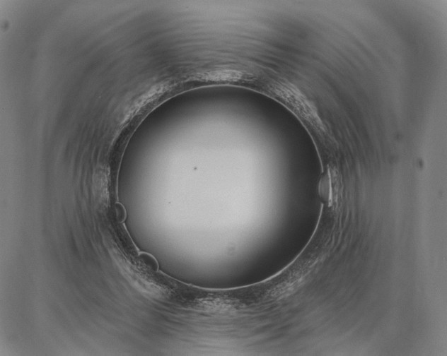 X0000086880300200704231110