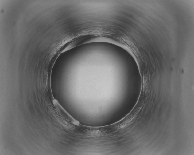 X0000086880301200704231110