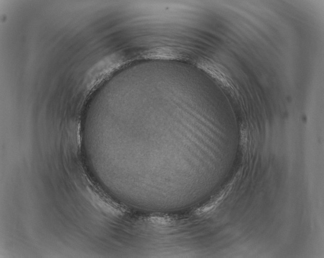 X0000086880302200704231110