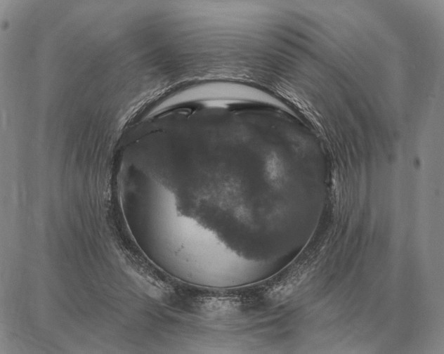 X0000086880303200704231110