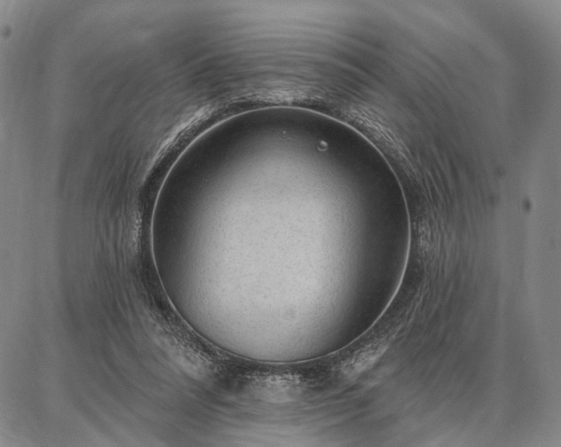 X0000086880304200704231110