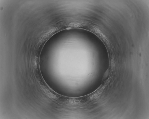 X0000086880305200704231109