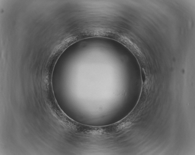 X0000086880306200704231109