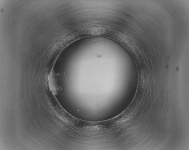 X0000086880307200704231109