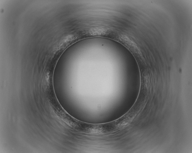 X0000086880308200704231109