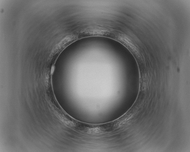 X0000086880309200704231109