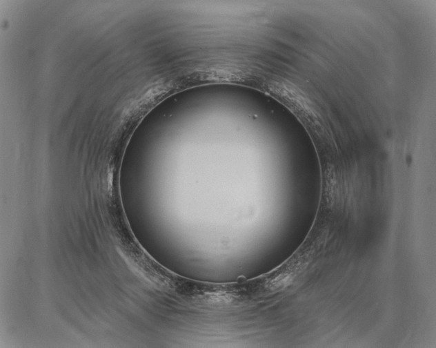 X0000086880310200704231109