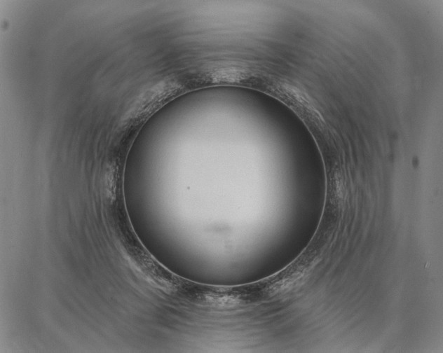 X0000086880311200704231109