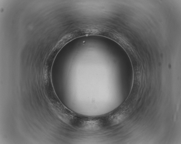 X0000086880312200704231109