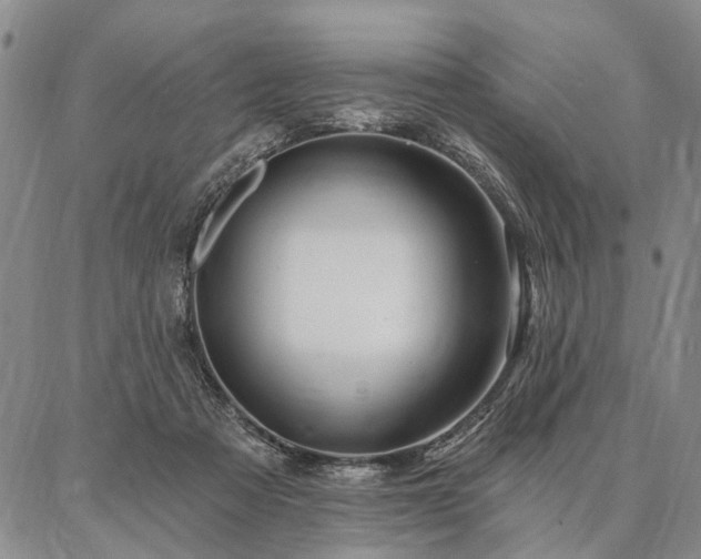 X0000086880313200704231109